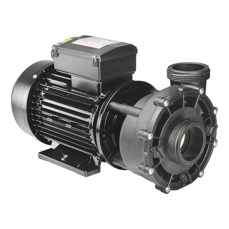Massasjepumpe LX-WP250-II 2,5HK, 2-speed
